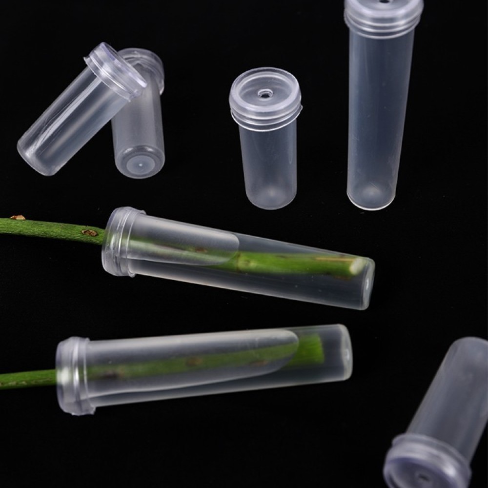 Long Lasting Floral Water Vial - đánh giá và giá Florist Supply Wholesale
