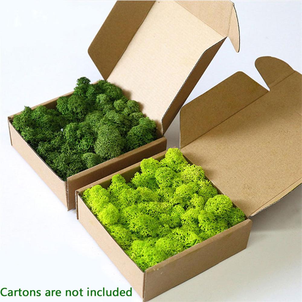 Nhân Tạo Vật Có Cuộc Sống Vĩnh - đánh giá và giá Preserved Moss Sheet