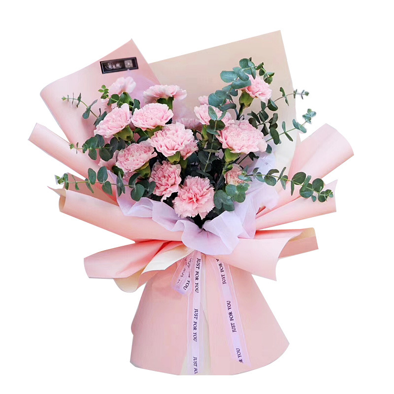 20 Cái/gói Hoa Giấy Gói 2 Màu  - đánh giá và giá Florist Supply Wholesale